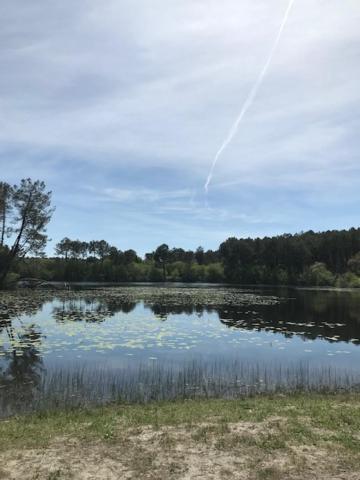 Village Vacances Aux Villages Sous Les Pins Леон Экстерьер фото